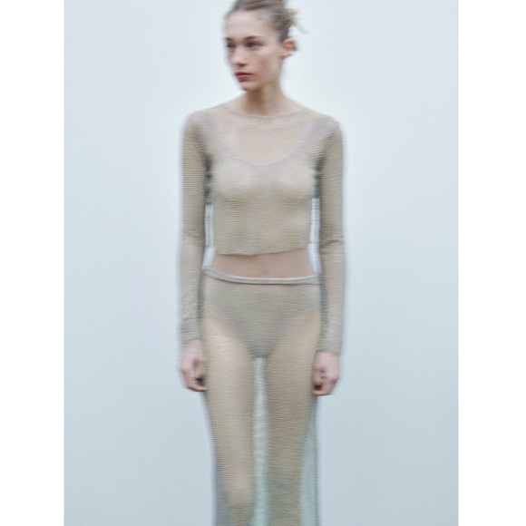 Zara SHIMMER MESH SKIRT - Picture 10 of 13